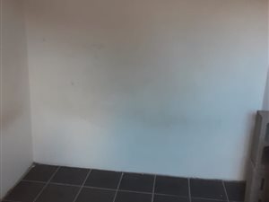 1 Bed Garden Cottage in Athlone