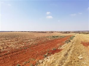 348 ha Farm in Ventersdorp