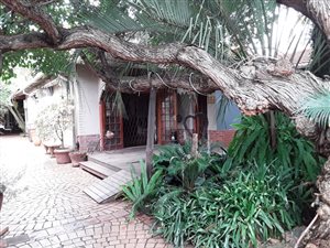 12 Bed House in Riviera