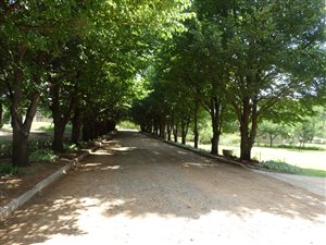 908 m² Land available in Magersfontein Memorial Golf Estate