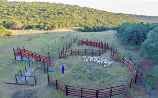 150 ha Farm in Alexandria