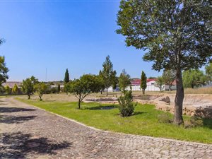 10.5 ha Farm with House in Heidelberg Central