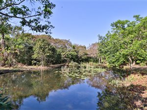 3 Bed Townhouse in Port Edward