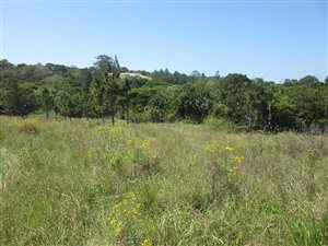 1254 m² Land available in Margate
