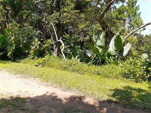 1464 m² Land available in Palm Beach