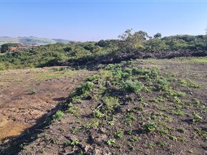 4047 m² Land available in Mount Moreland