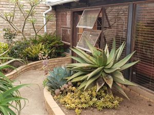 2 Bed House in Newton Park
