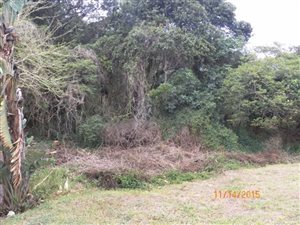 1100 m² Land available in Zinkwazi Beach