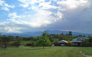 24 ha Farm in Bergville