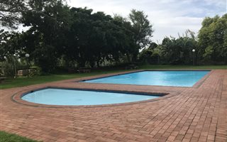 1 Bedroom Apartment in Morningside