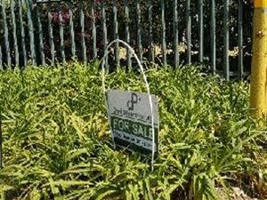 1 Bed Apartment in Fairway