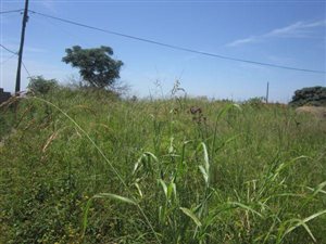 1953 m² Land available in Stanger