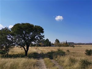 21 ha Farm in Klerksdorp