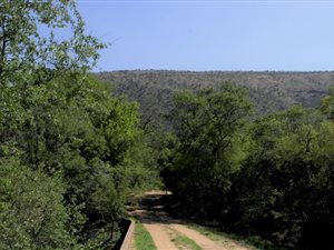 32 ha Farm in Mokopane