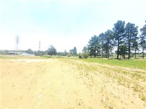6429 m² Land available in Ormonde
