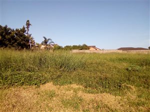 1000 m² Land available in Birdswood
