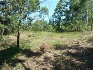 3716 m² Land available in Crestholme