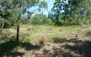 3716 m² Land available in Crestholme
