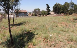 991 m² Land available in Ohenimuri