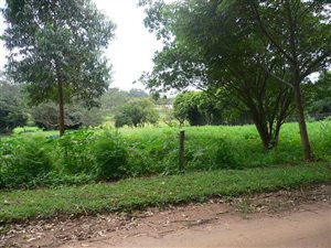 1448 m² Land available in Sezela