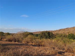 2400 m² Land available in Hoedspruit