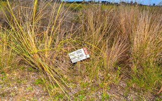 600 m² Land available in Wedgewood Golf Estate