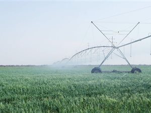 777 ha Farm in Modimolle
