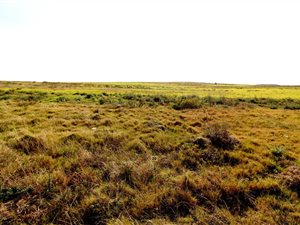 444 m² Land available in Hartenbos