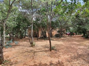 21 ha Farm in Dinokeng