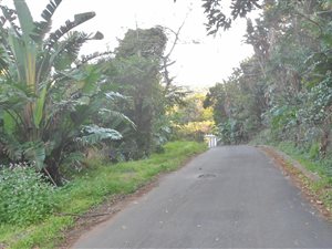 2639 m² Land available in Southbroom