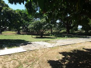 8565 m² Farm in Waterkloof