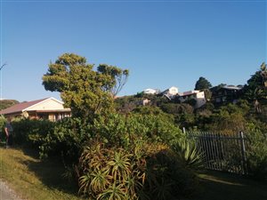 1202 m² Land available in Brenton on Sea