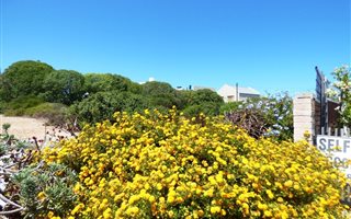 815 m² Land available in Yzerfontein