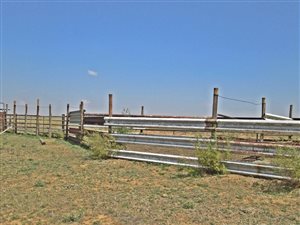 Farm in Dewetsdorp