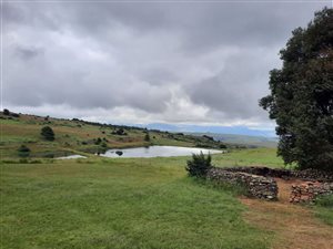 416 ha Farm in Dullstroom