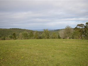 91 ha Farm in The Crags