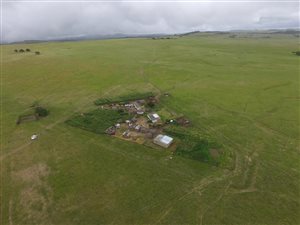 1000 m² Farm in Dundee