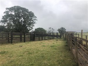 1000 m² Farm in Dundee