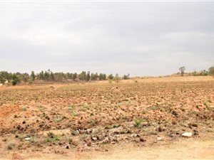 5 ha Land available in Ruimsig