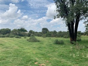 34 ha Farm in Schweizer Reyneke