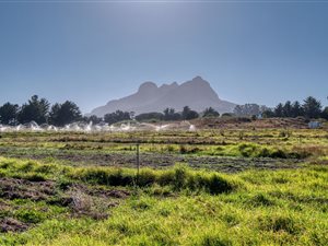 27 ha Farm in Stellenbosch Agricultural