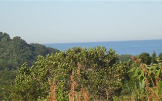 8000 m² Land available in Palm Beach