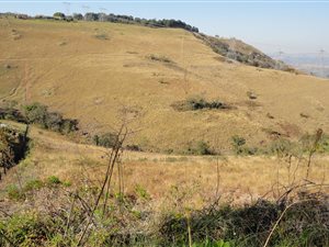 3.6 ha Land available in Summerveld