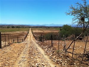 28 m² Farm in Oudtshoorn