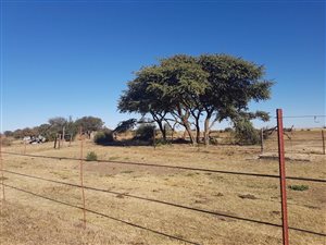 440 ha Farm in Vryburg