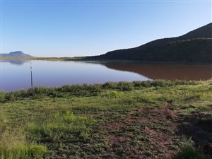 1306 ha Farm in Steynsburg