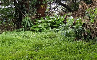 1503 m² Land available in Warner Beach