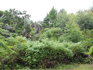 1032 m² Land available in Leisure Bay