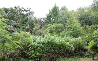 1032 m² Land available in Leisure Bay