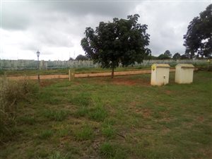 1 ha Land available in White River